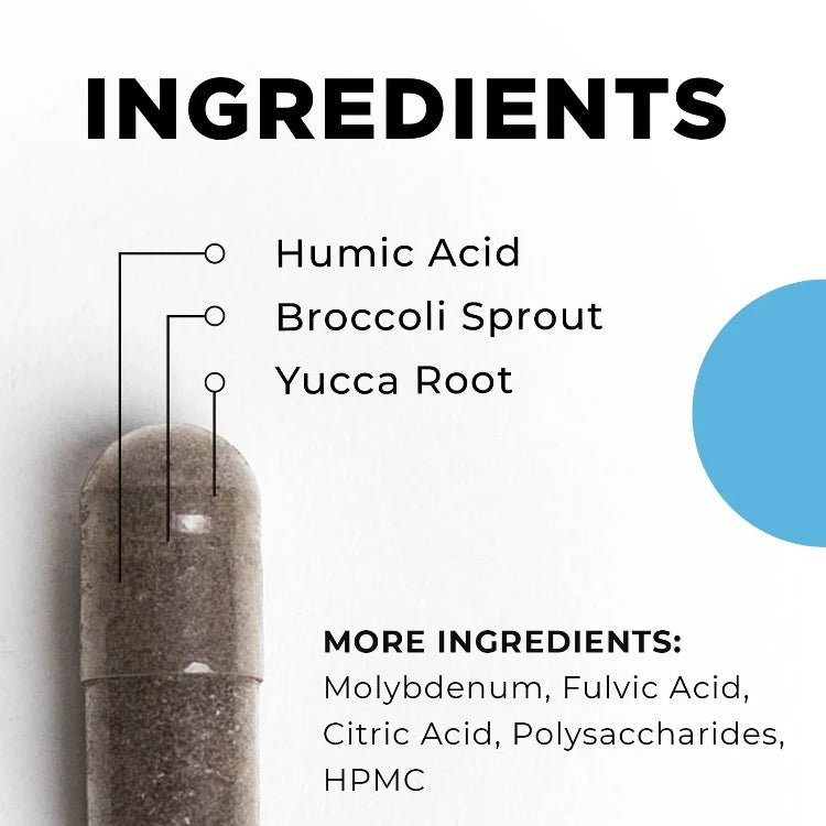 BioToxin Binder Ingredients