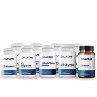C.A. Support Protocol Supplements