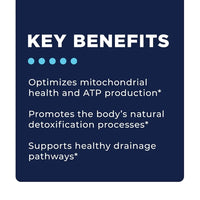 Comprehensive Phase 1 Key Benefits