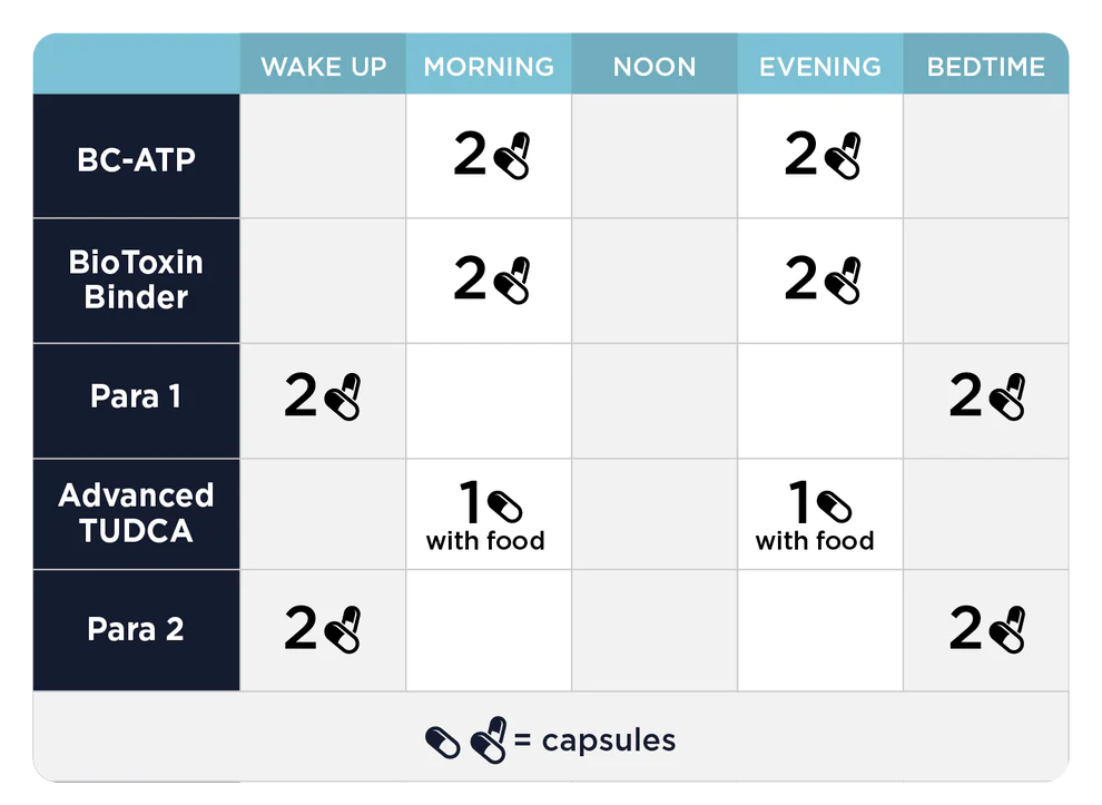 Comprehensive Phase 2: Gut & Immune Support