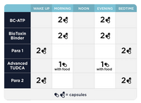 Comprehensive Phase 2: Gut & Immune Support