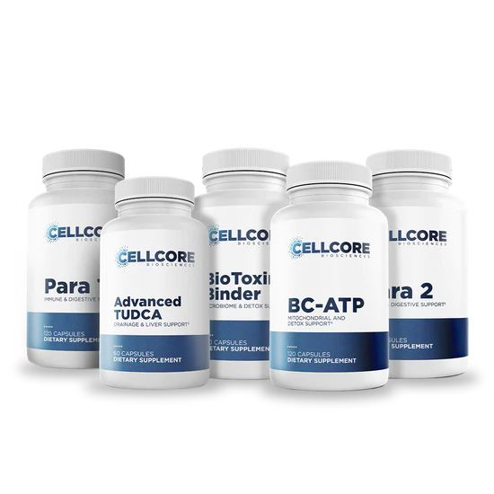 Comprehensive Phase 2: Gut & Immune Support