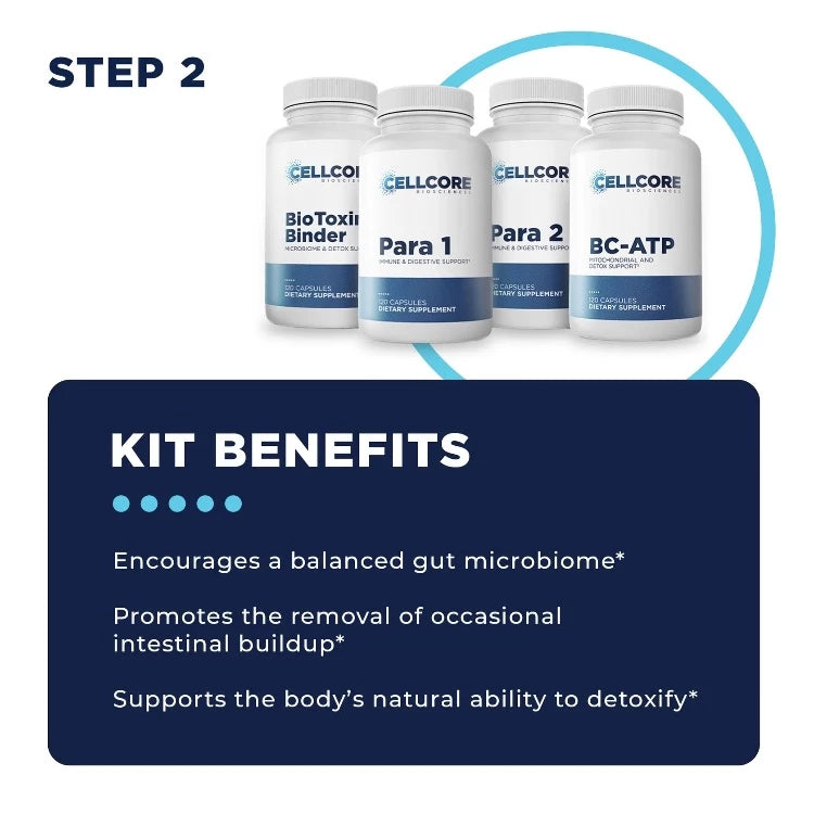Foundational Protocol Kit 2 Benefits