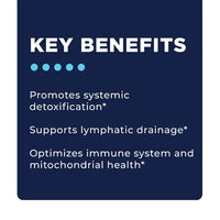 Foundational Step 4 Key Benefits