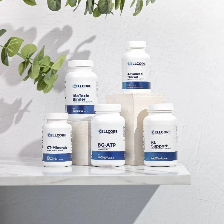 MYC Support Kit Staged