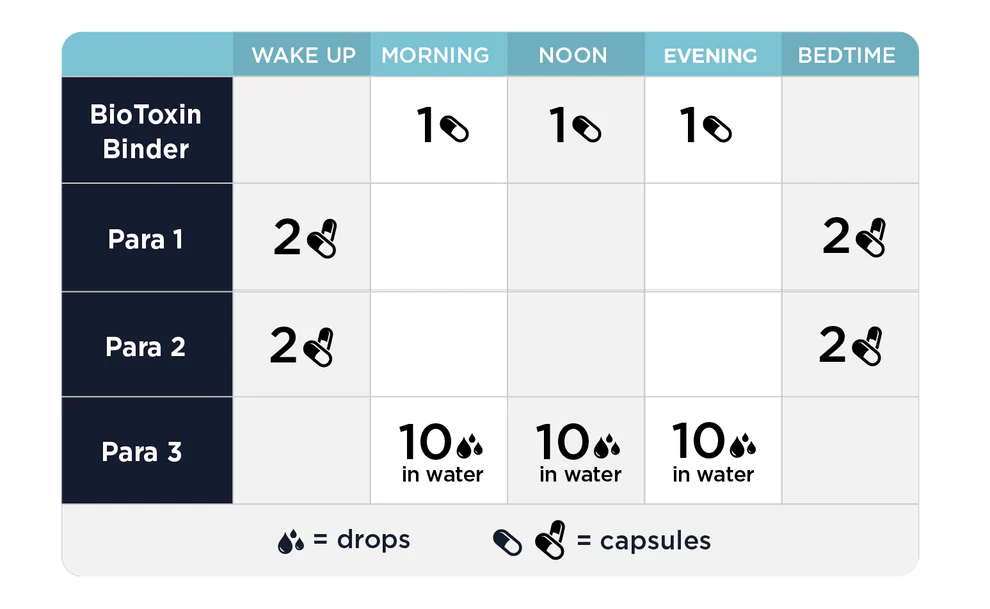 Detox Support Protocol