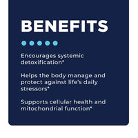 RAD Support Protocol Key Benefits