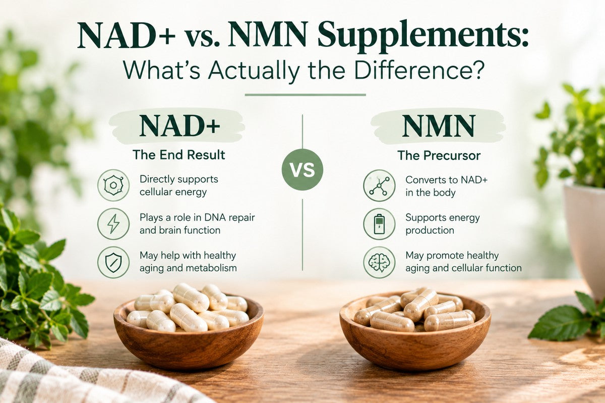 Comparison graphic of NAD+ as the end result versus NMN as the precursor, with bowls of capsules representing each