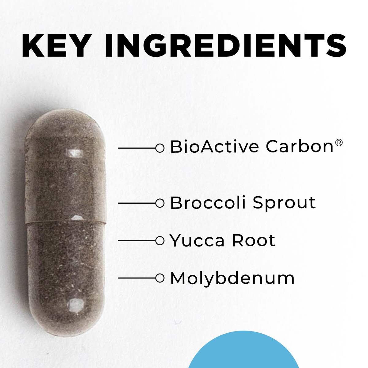BioToxin Binder key ingredients