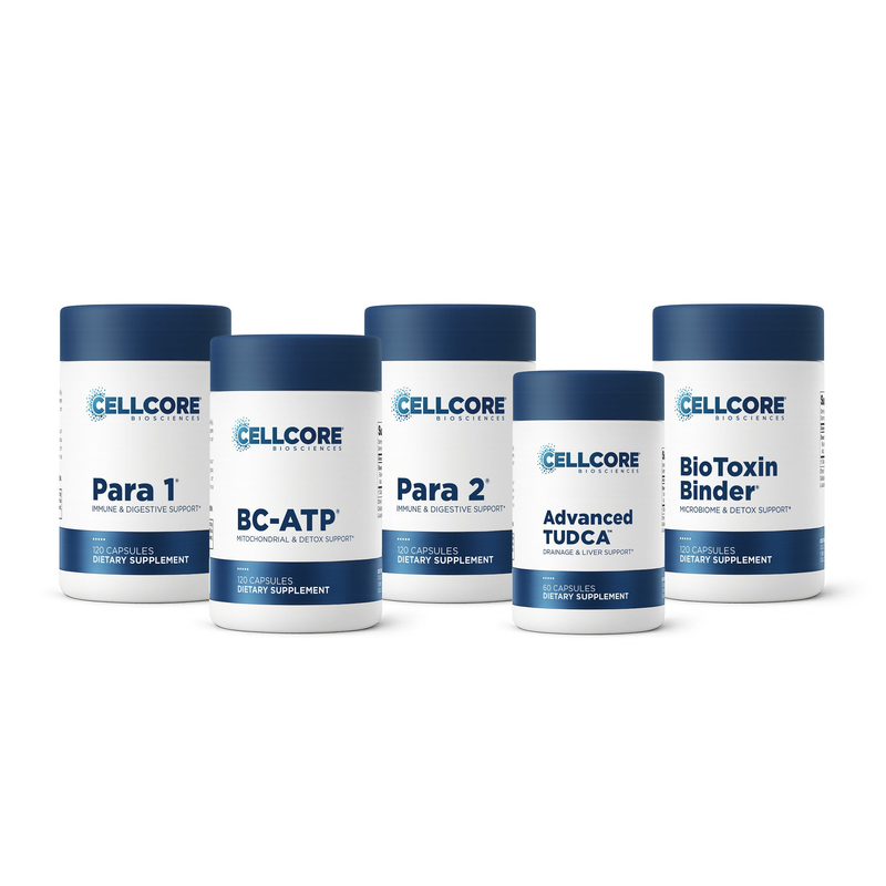Comprehensive Phase 2 products front