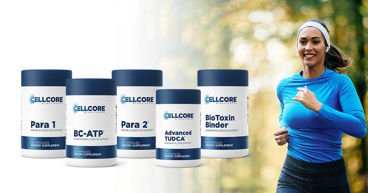 Comprehensive Phase 2 lifestyle