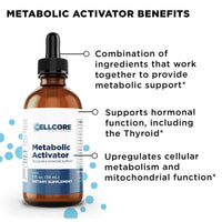 Energy Boost Support Bundle - Metabolic Activator Benefits