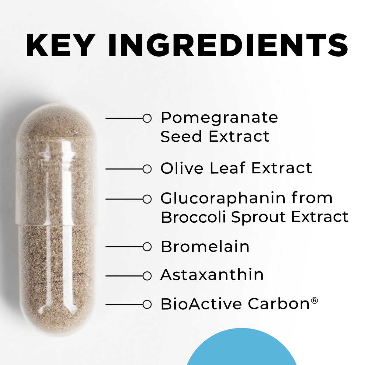 IFC key ingredients