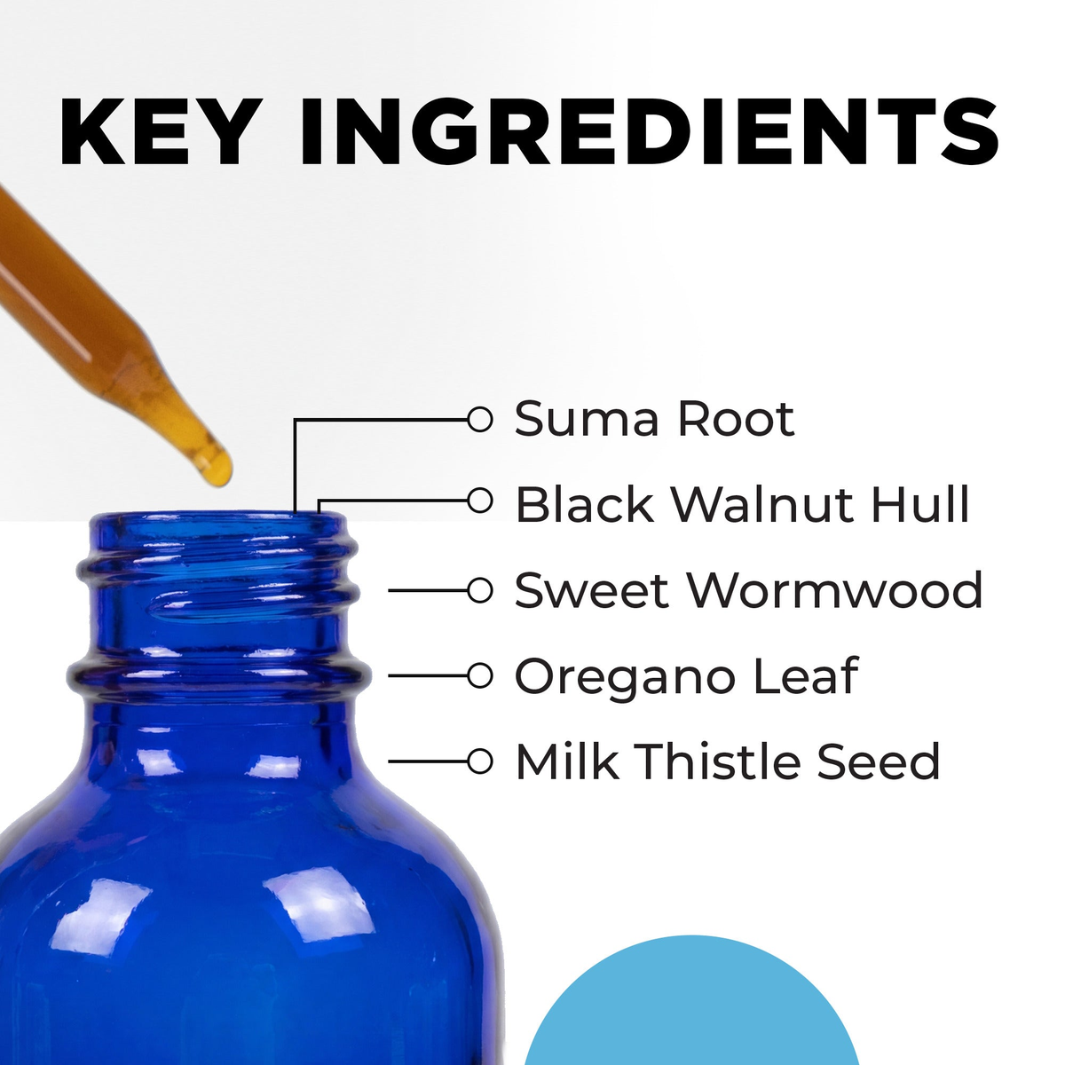 IS-BART key ingredients