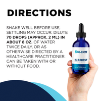 IS-BOOST directions