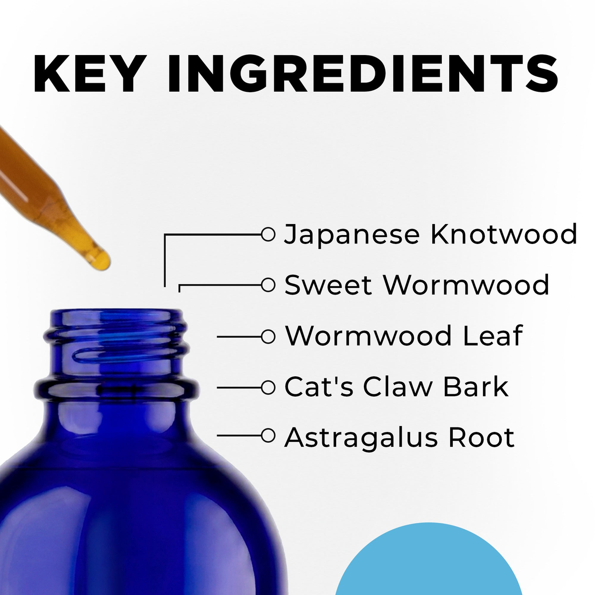 IS-BORR key ingredients