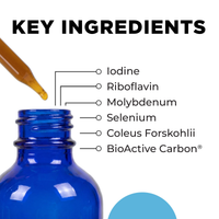 Metabolic Activator key ingredients