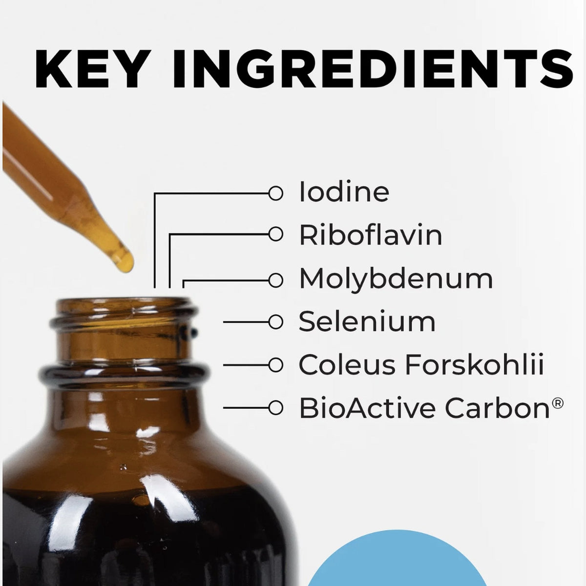 Metabolic Activator - Key Ingredients