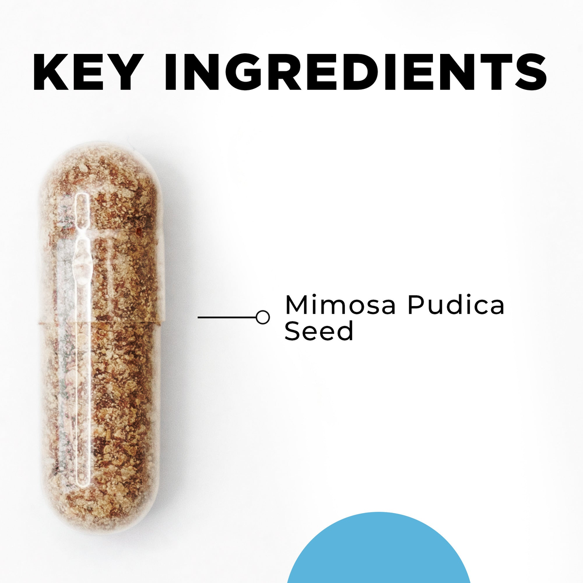 Para 1 key ingredients