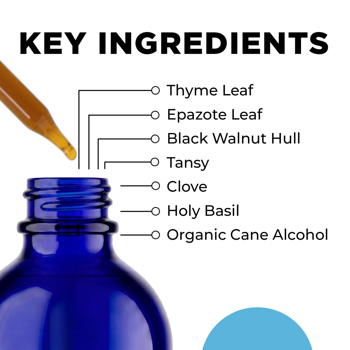 Para 3 key ingredients