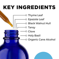 Para 3 key ingredients